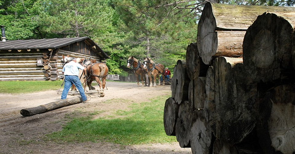 Forest History Center